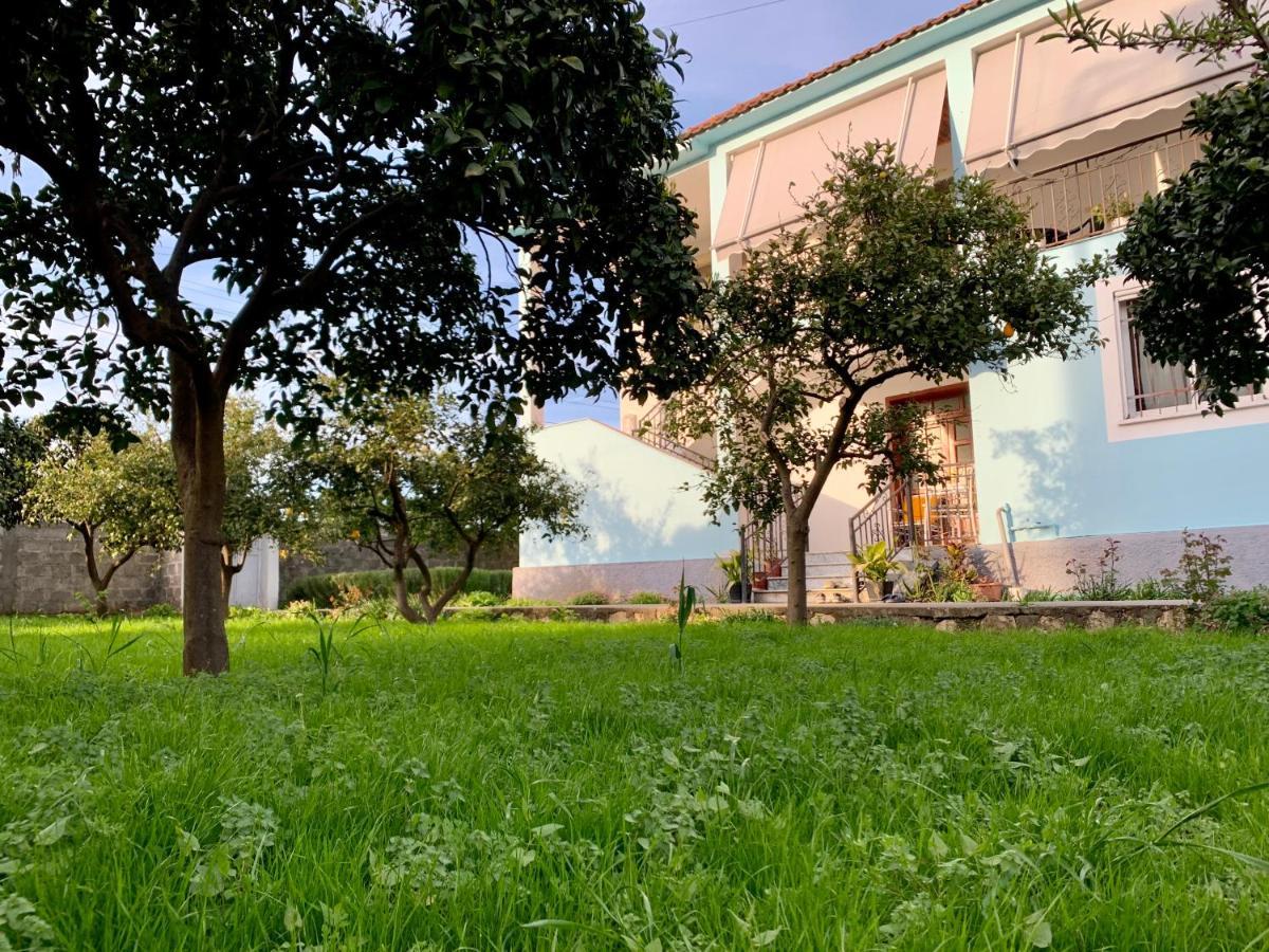 דיוויאקה Mia Guest House - Entire Home With Balcony & Garden מראה חיצוני תמונה