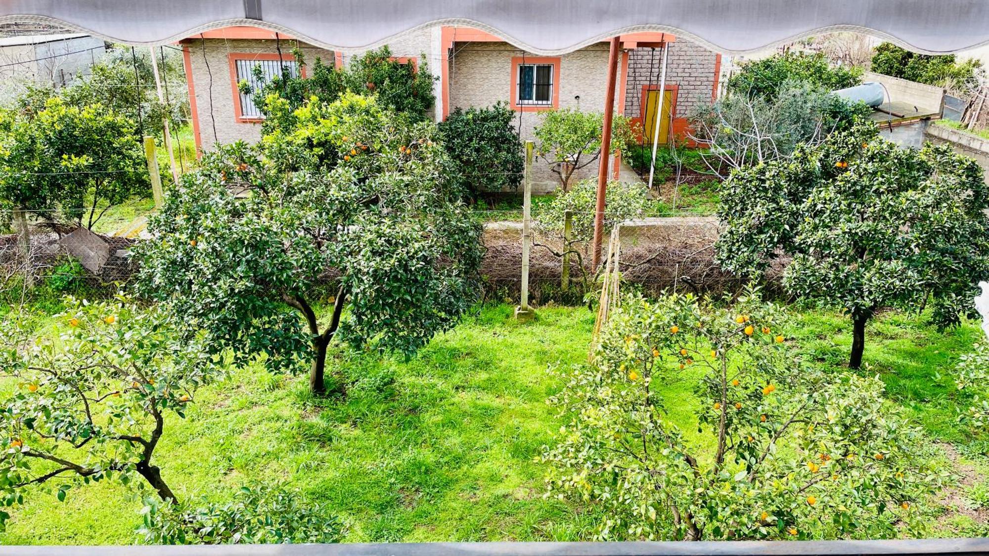 דיוויאקה Mia Guest House - Entire Home With Balcony & Garden מראה חיצוני תמונה